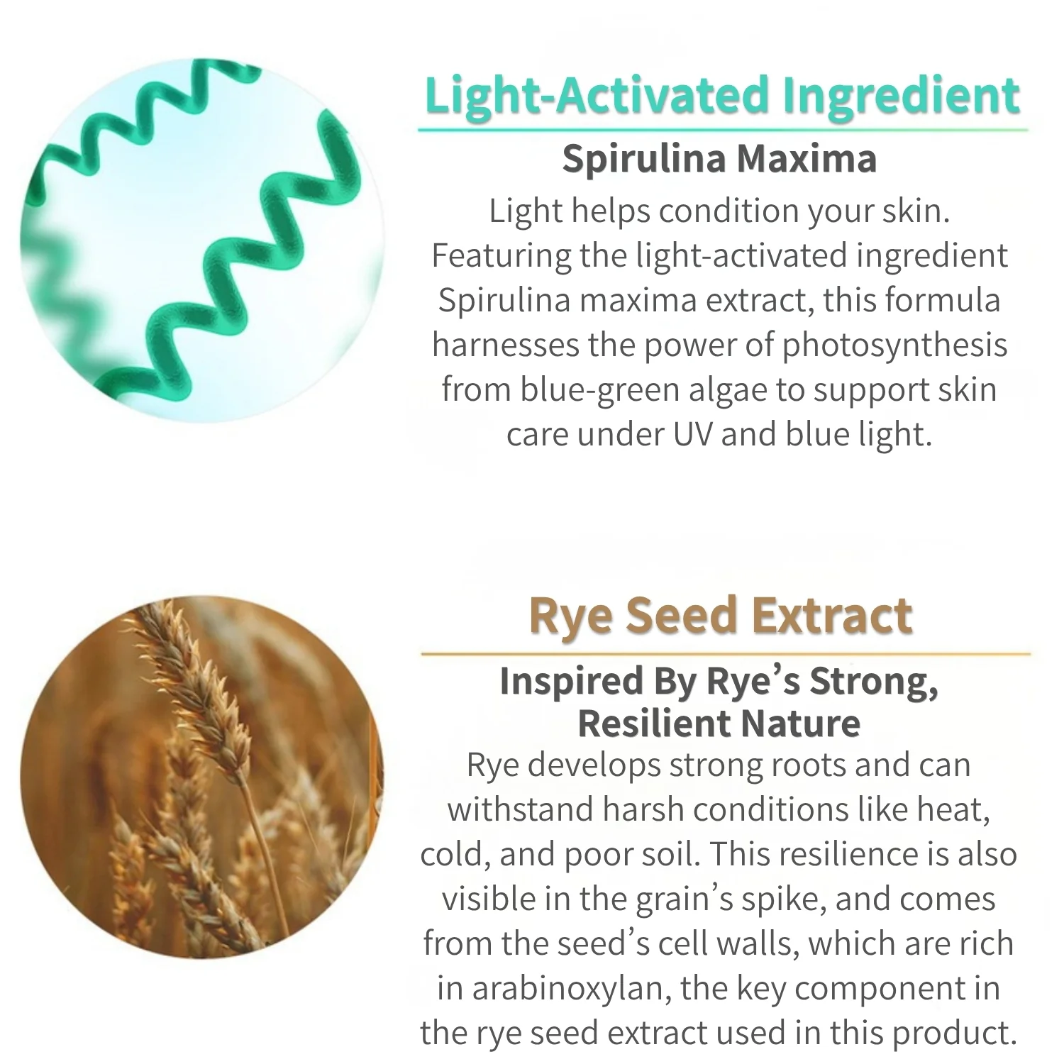 METAX CREAM WET - Image 6