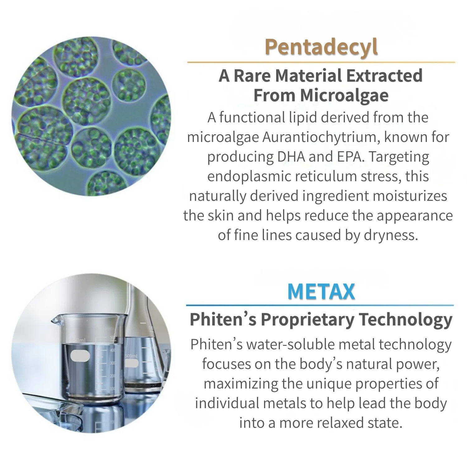 METAX CREAM WET - Image 7