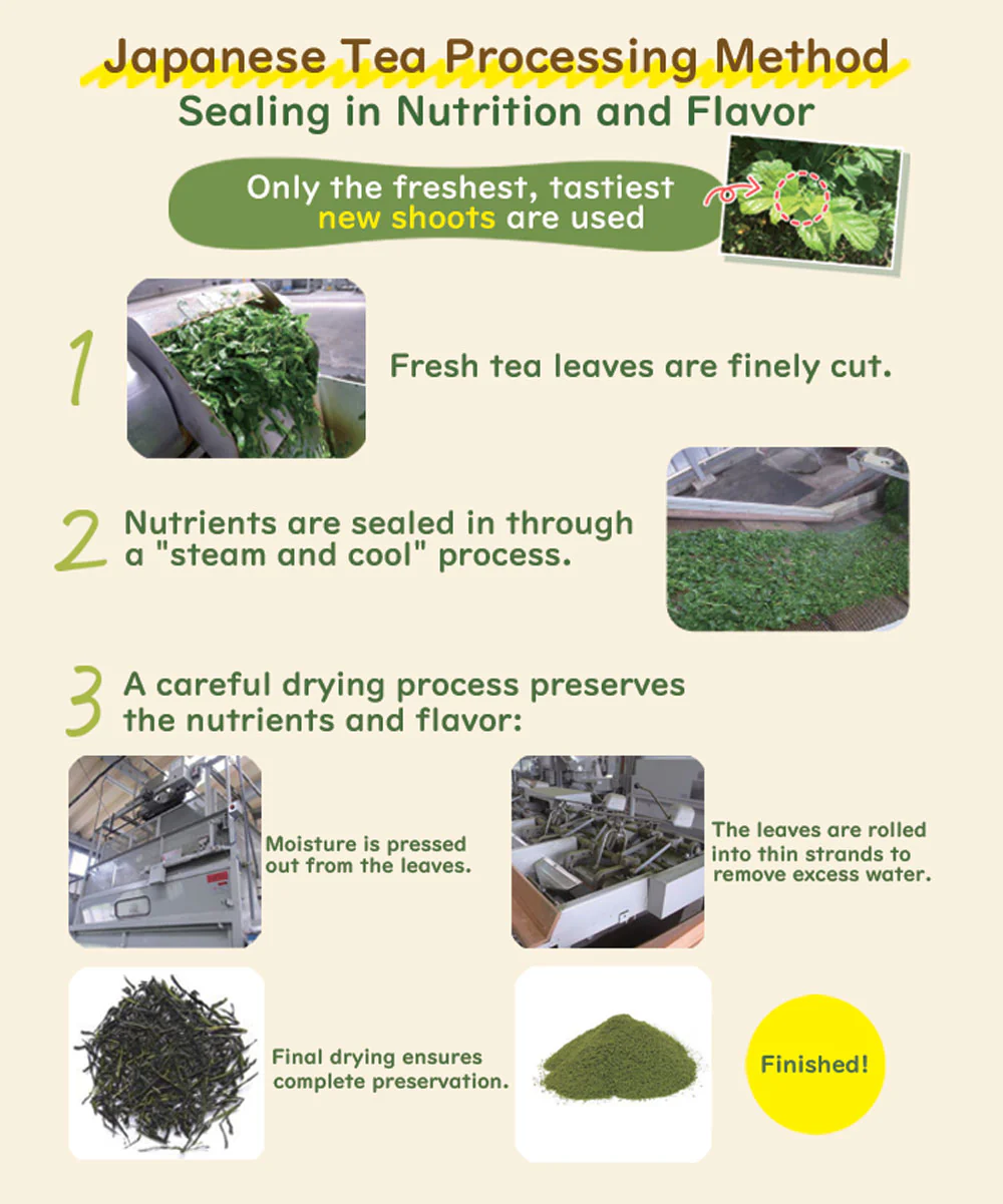 MULBERRY LEAF TEA SPROUTED BROWN RICE PLUS - Image 6